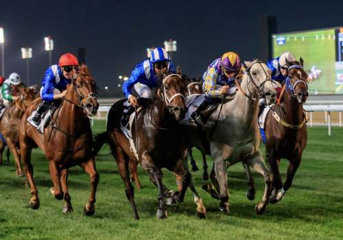The Dubai World Cup
