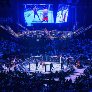 UFC 333