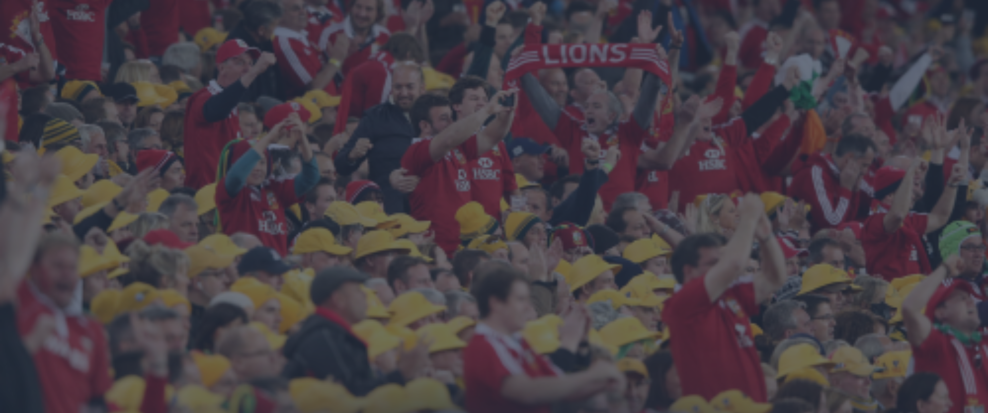 Banner Image